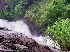 Wild Sex In Jungle At The Waterfall