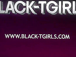 BLACK TGIRLS – Amina Python Erotic Scenes in Motion