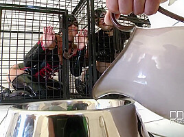 Nick Lang tames 2 beauties in cat role play [Part 1]